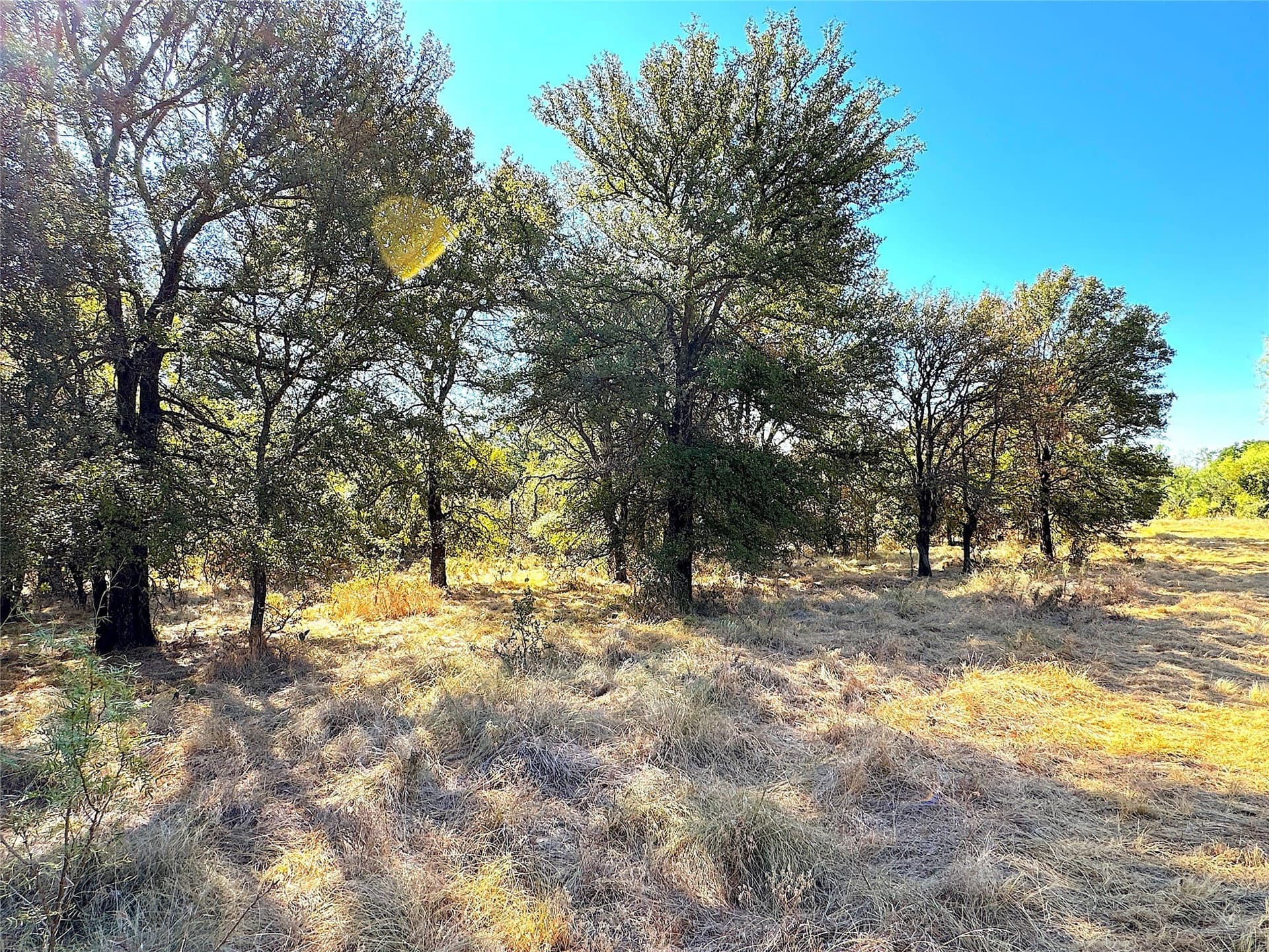 13.81 acres in Jack County - photo 37