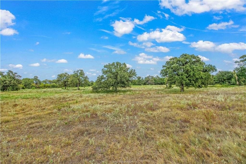 15.52 acres in Grimes County - photo 47