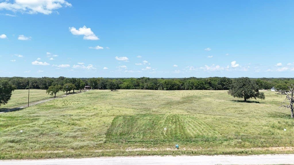 0.78 acres in Rains County - photo 6
