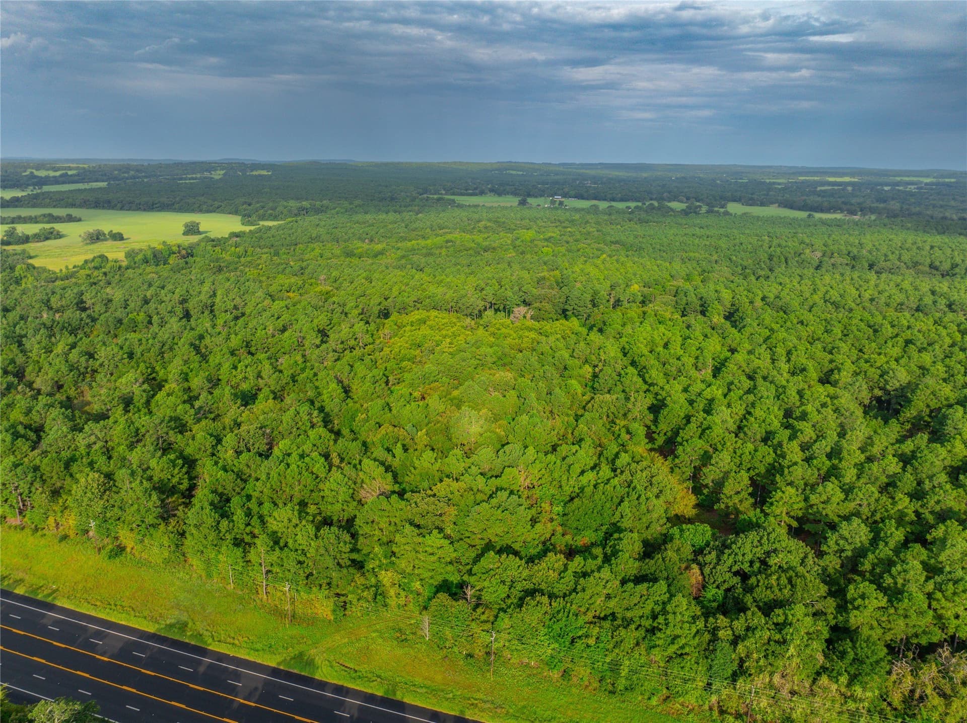 56 acres in Henderson County - photo 11
