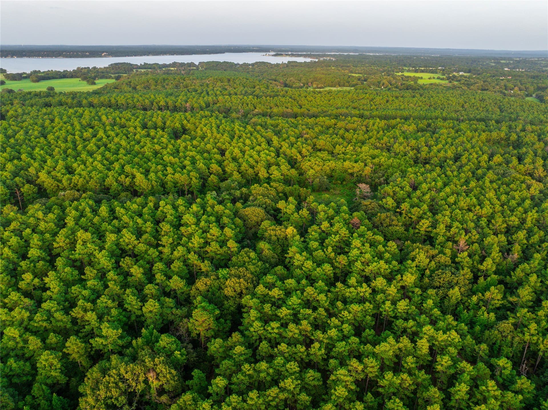 56 acres in Henderson County - photo 7