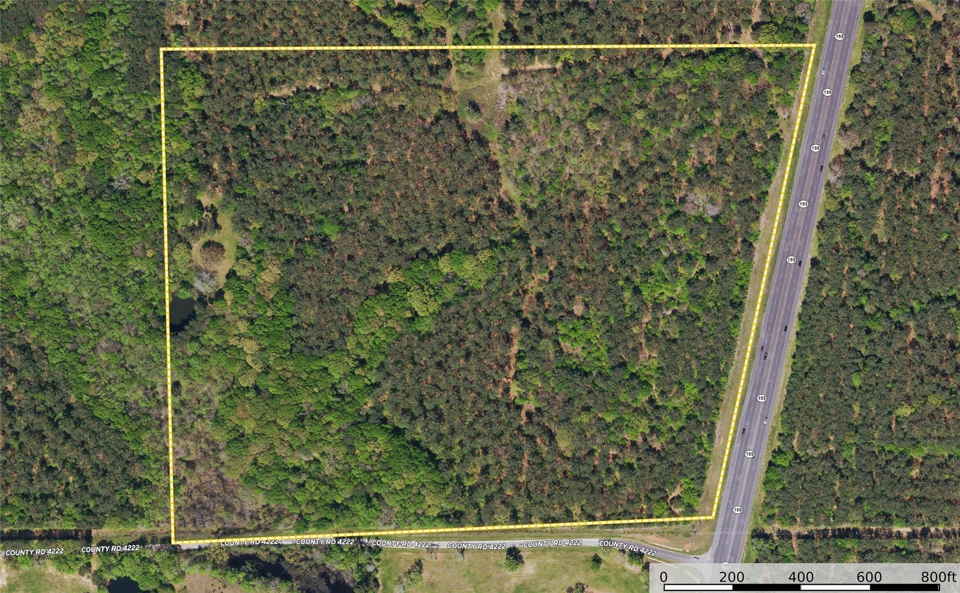 56 acres in Henderson County - photo 26
