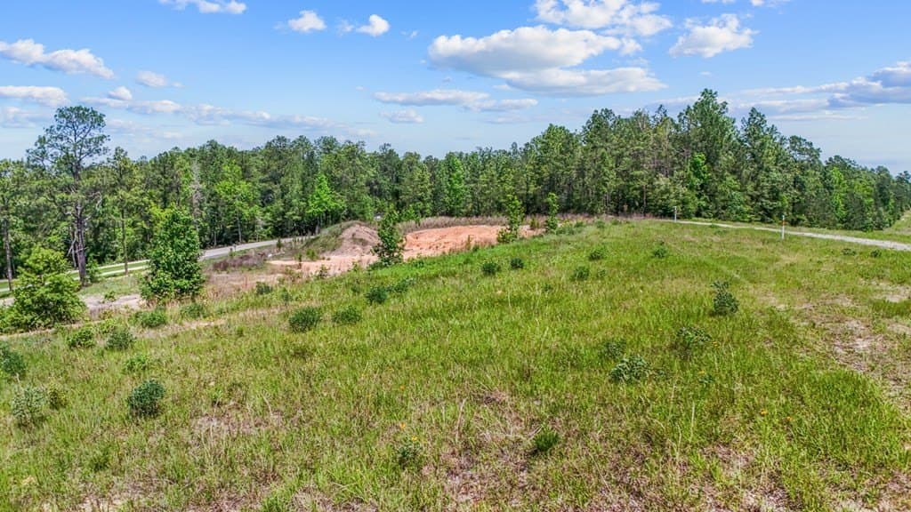 1 acres in Texas County - photo 9