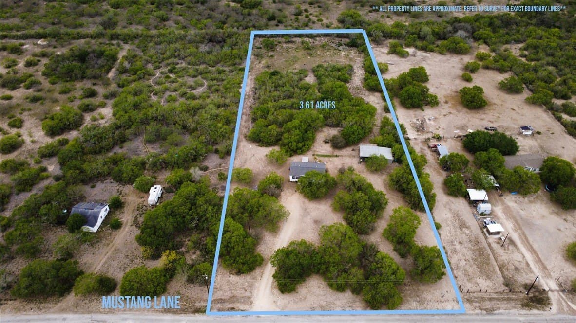 100,000 acres in Jim Wells County - photo 19