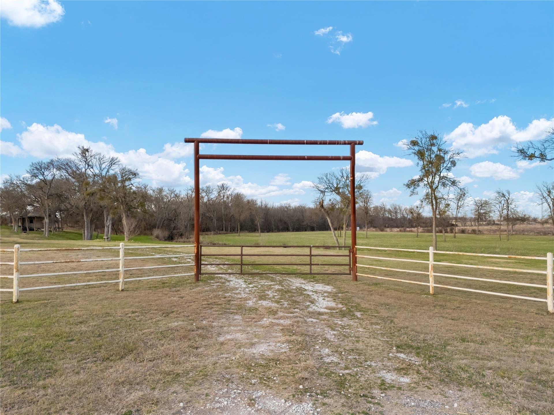 8.28 acres in Limestone County gallery image 2