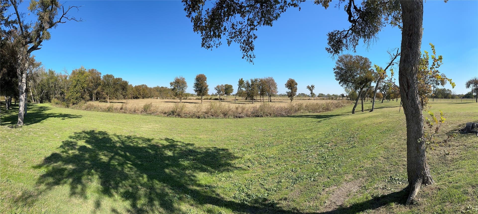 8.28 acres in Limestone County gallery image 4
