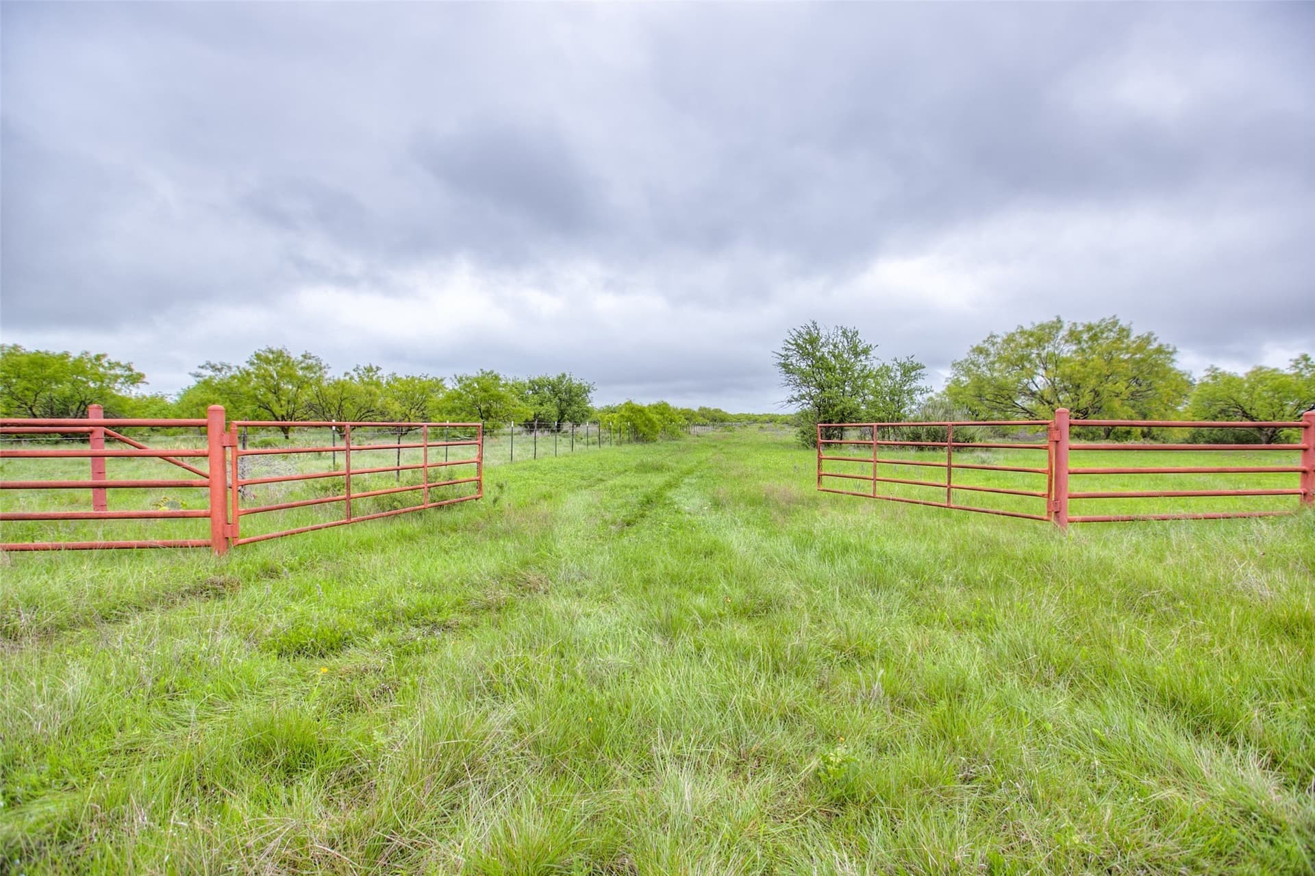 200 acres in Callahan County gallery image 3