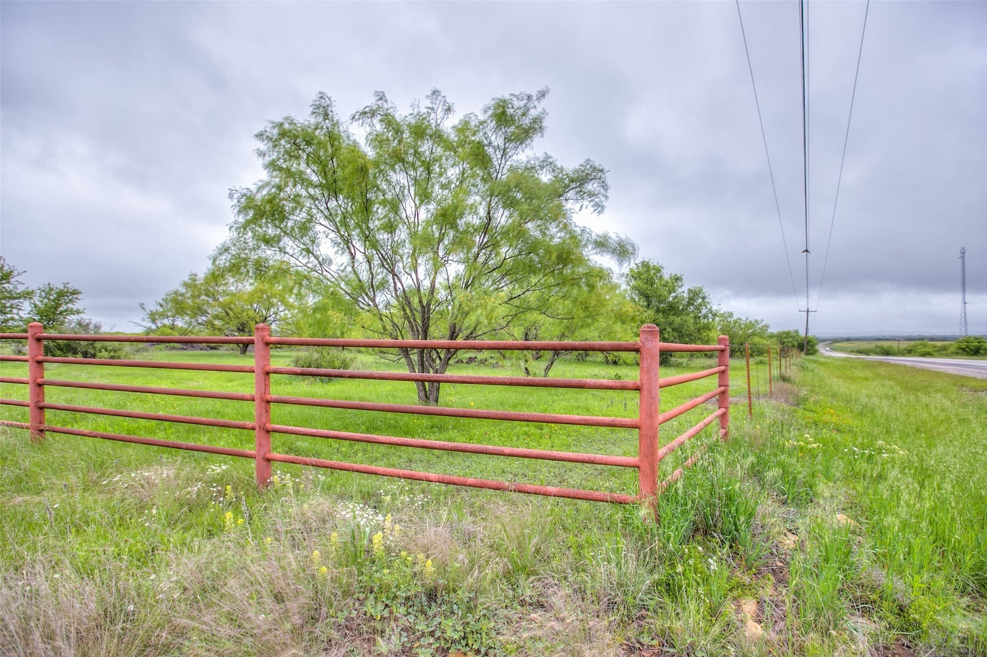 200 acres in Callahan County gallery image 2