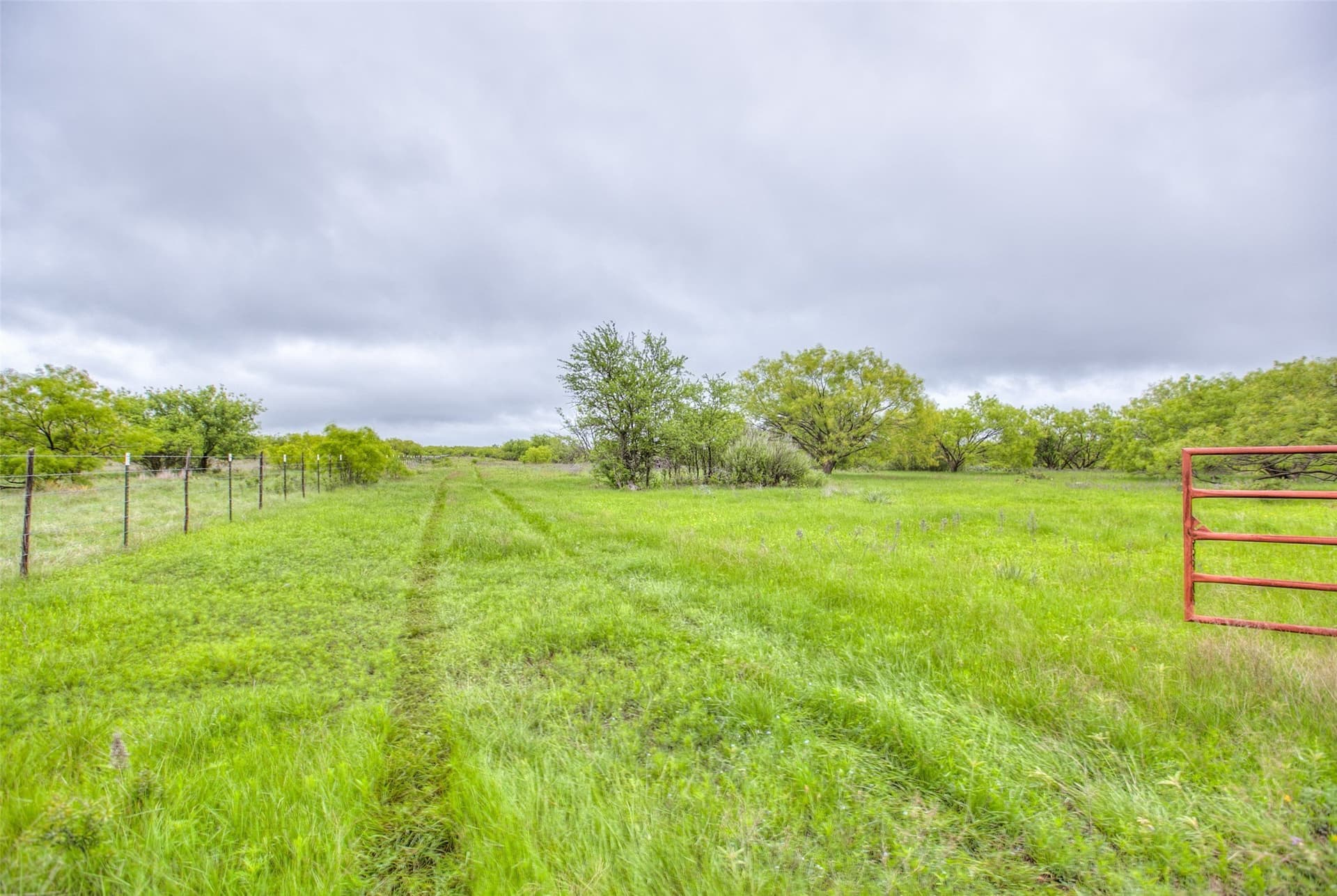 200 acres in Callahan County gallery image 4