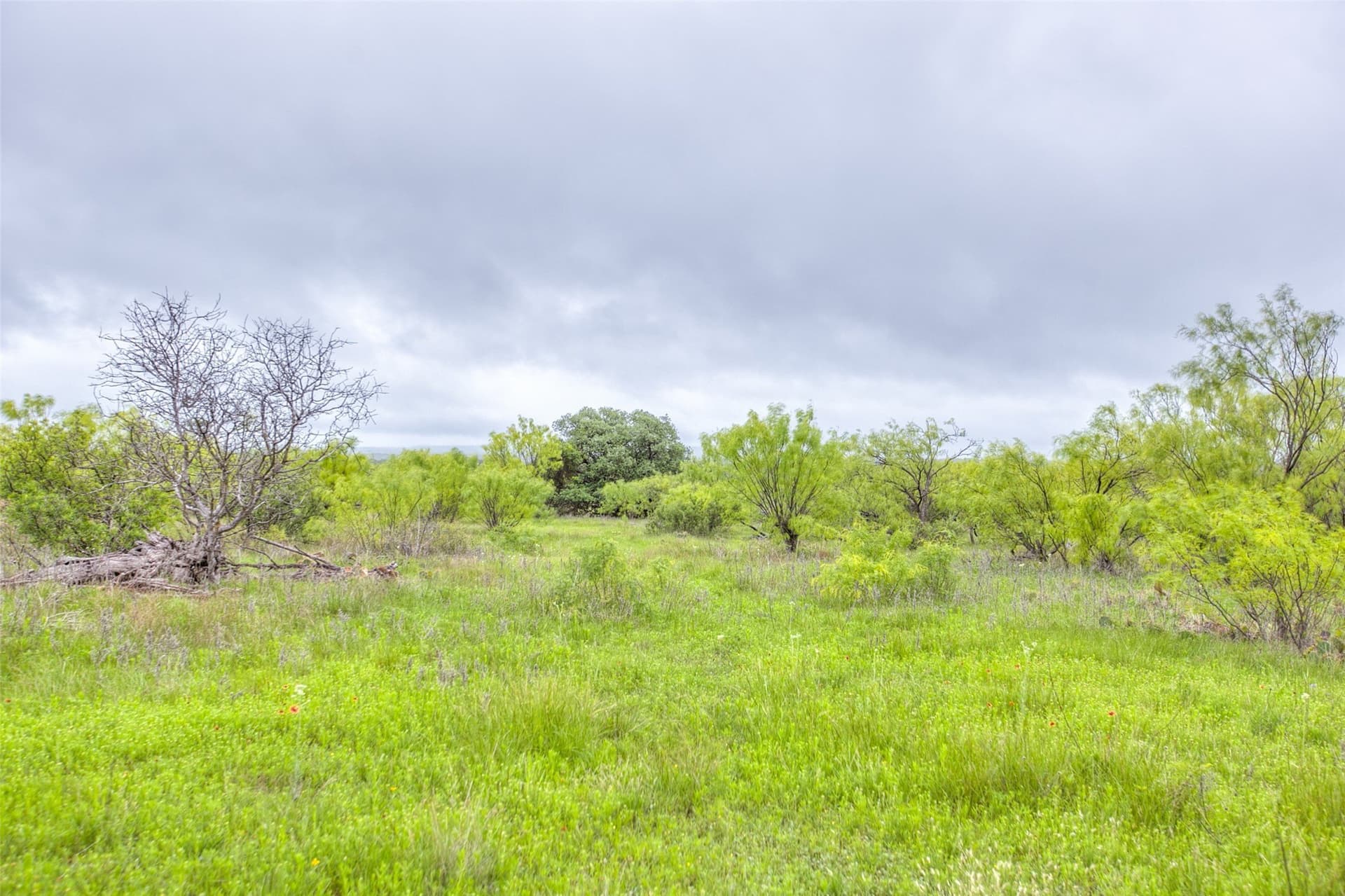 200 acres in Callahan County featured view