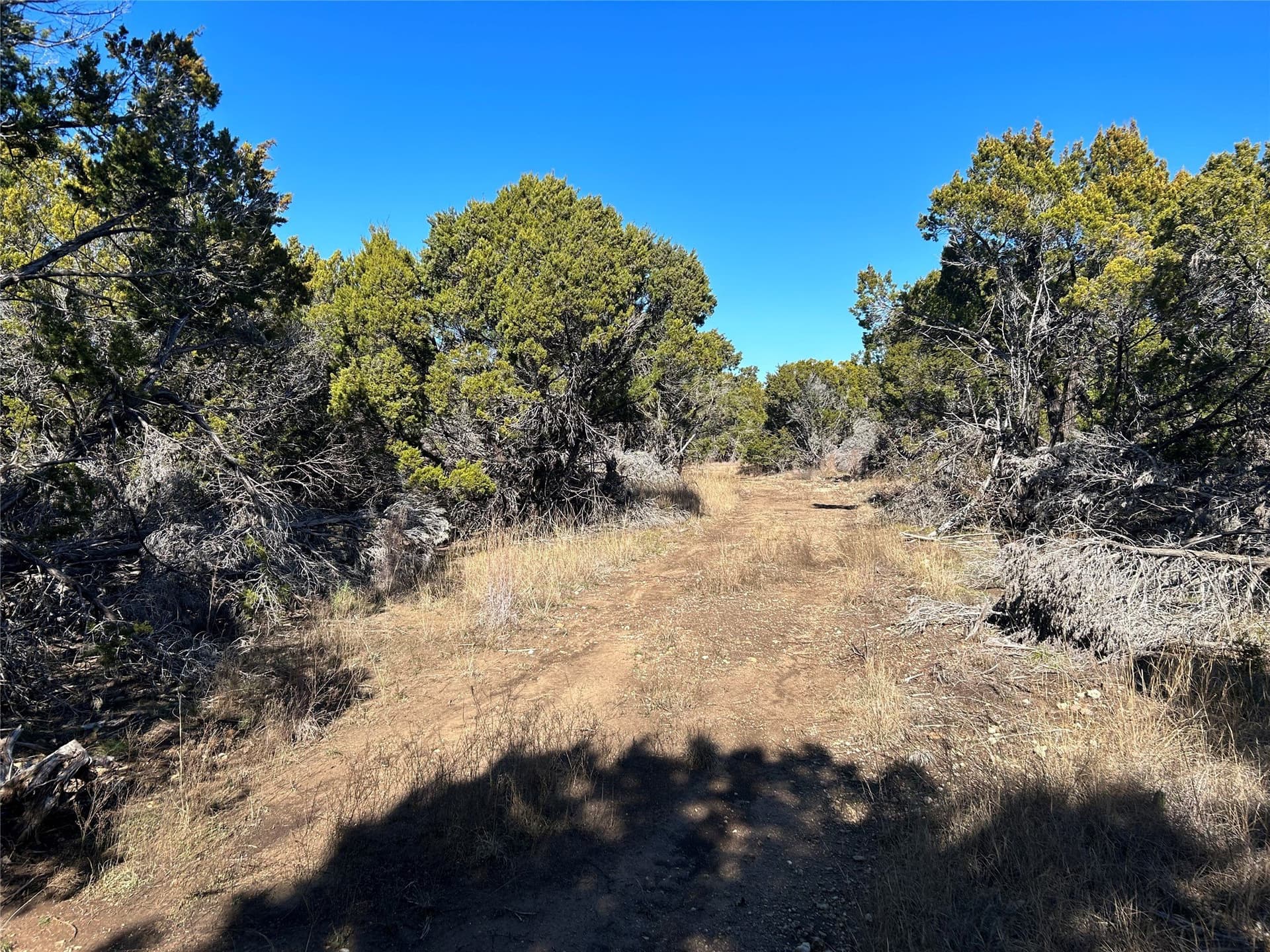 10 acres in Hill County - photo 2
