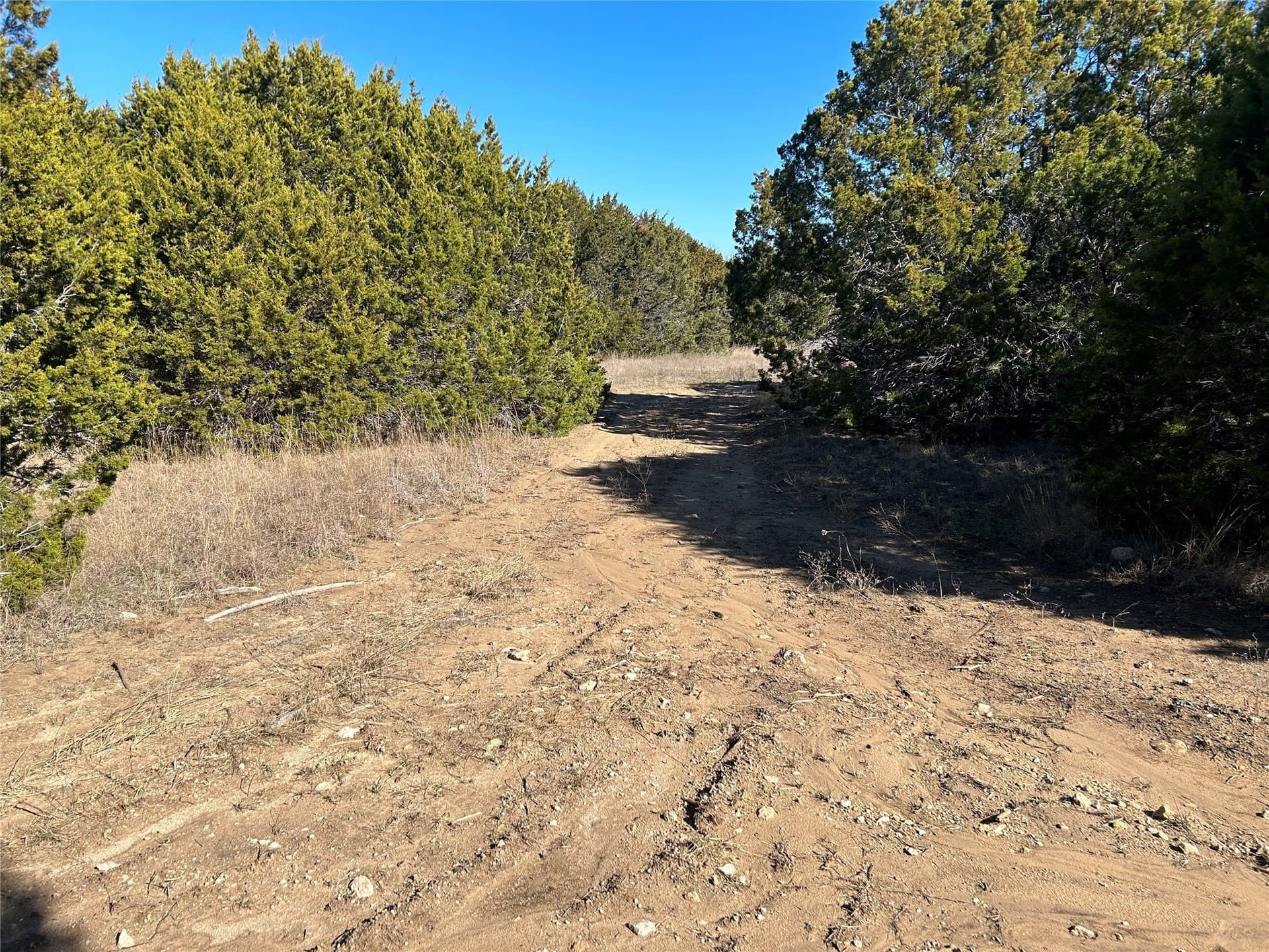 10 acres in Hill County - photo 7