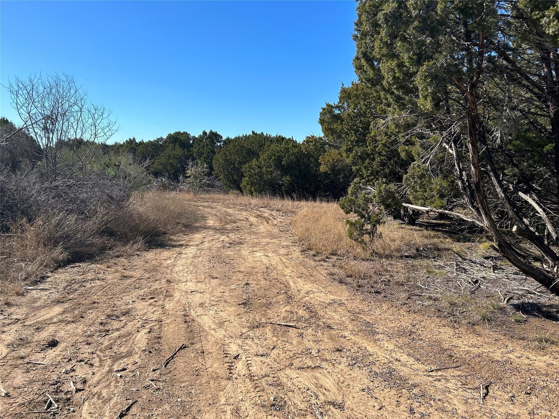 10 acres in Hill County - photo 10