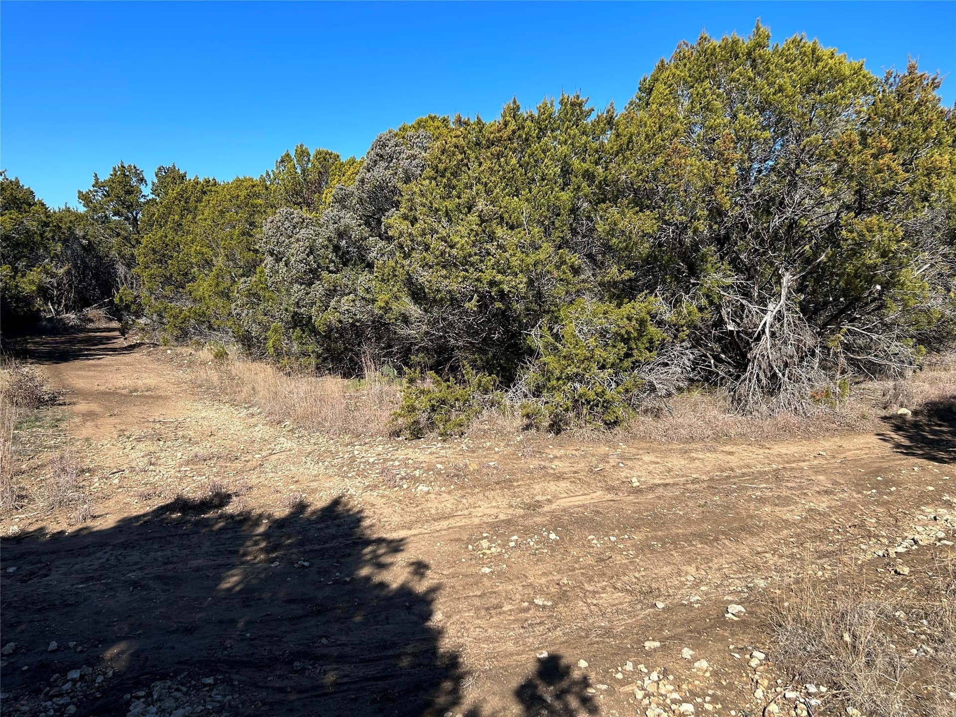 10 acres in Hill County - photo 3