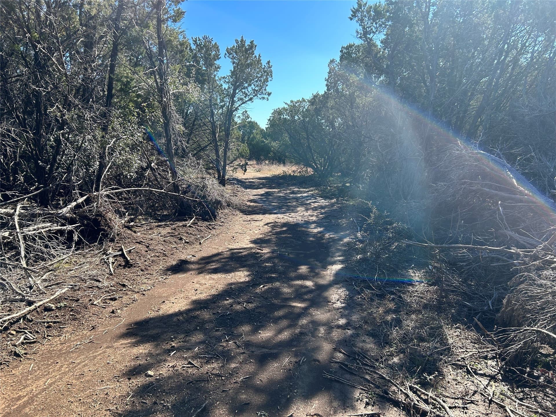 10 acres in Hill County - photo 4
