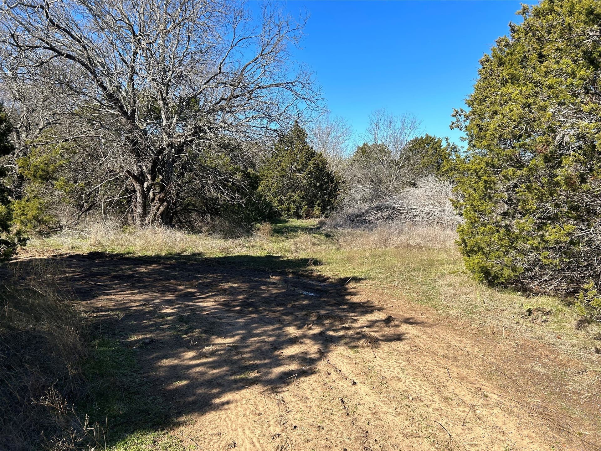 10 acres in Hill County - photo 8
