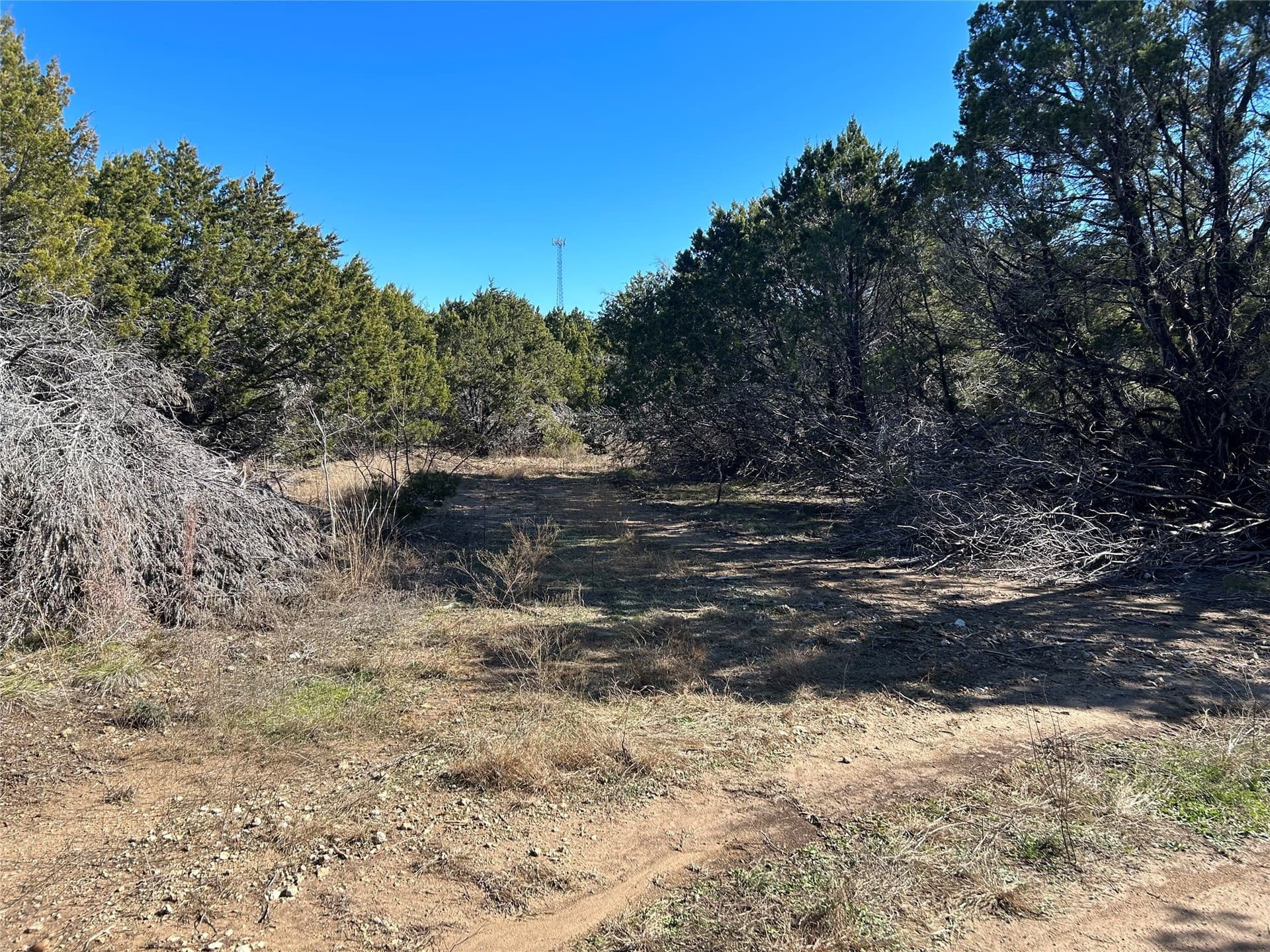 10 acres in Hill County - photo 6