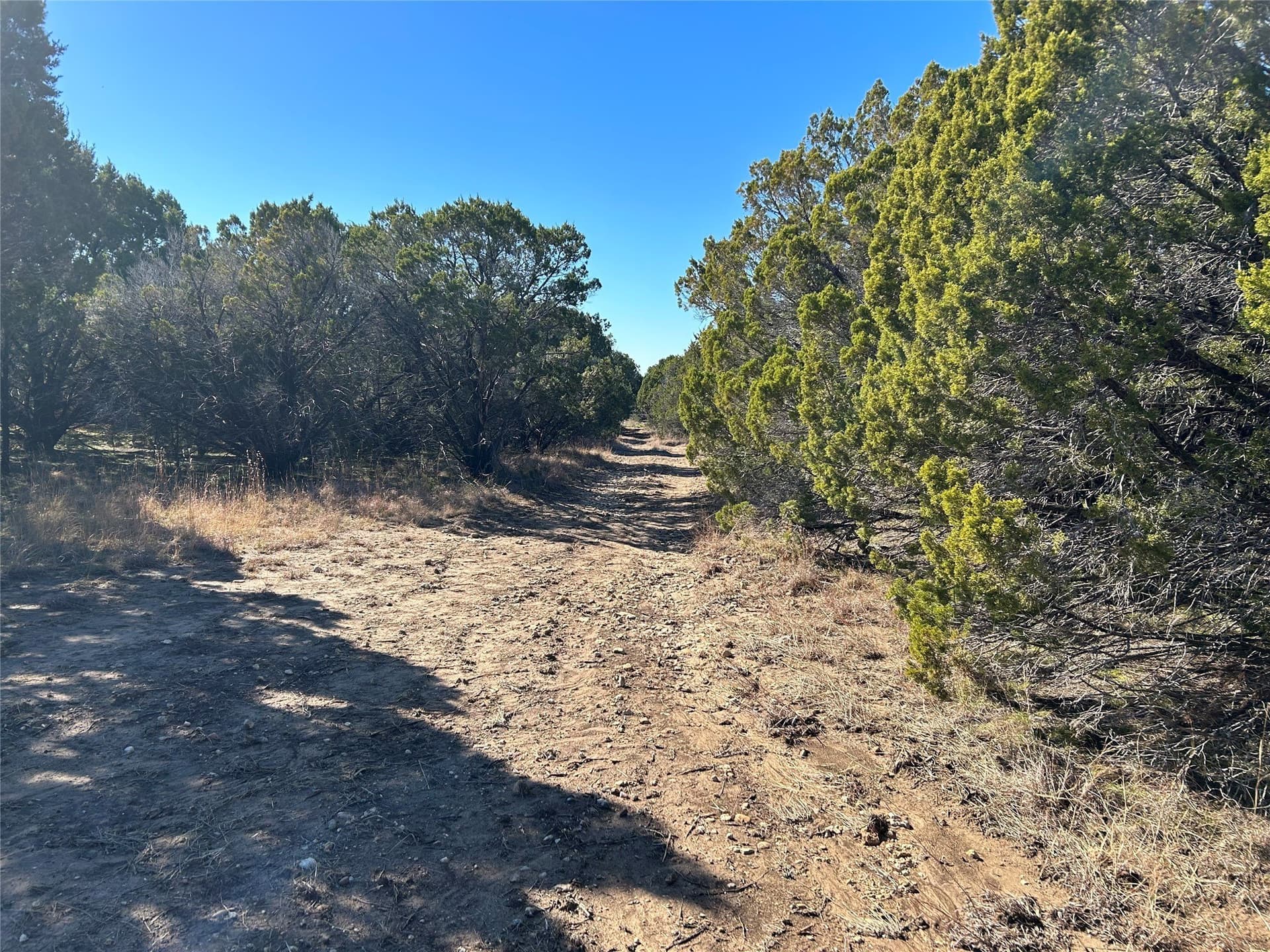 10 acres in Hill County - photo 9