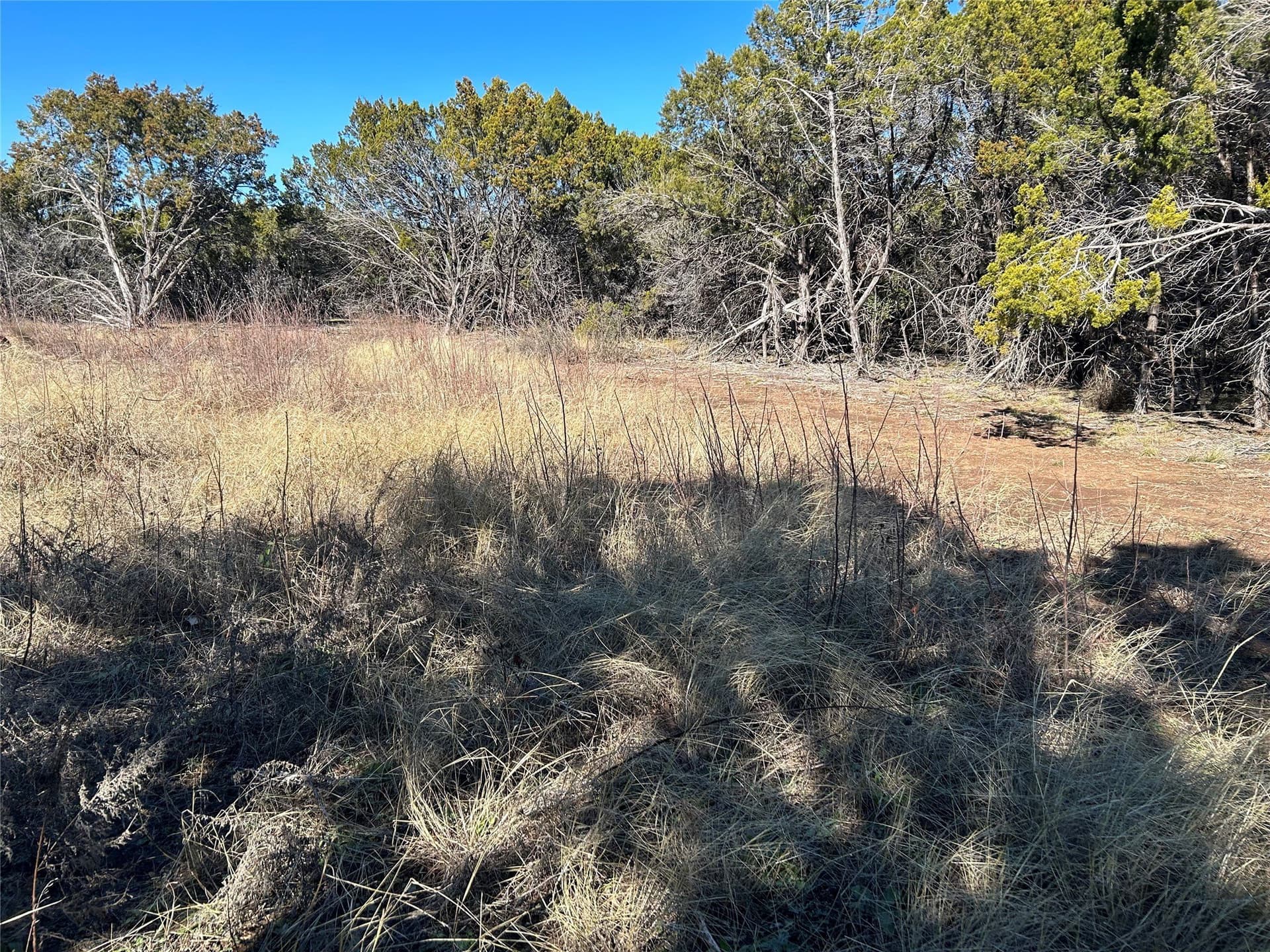 10 acres in Hill County - photo 5