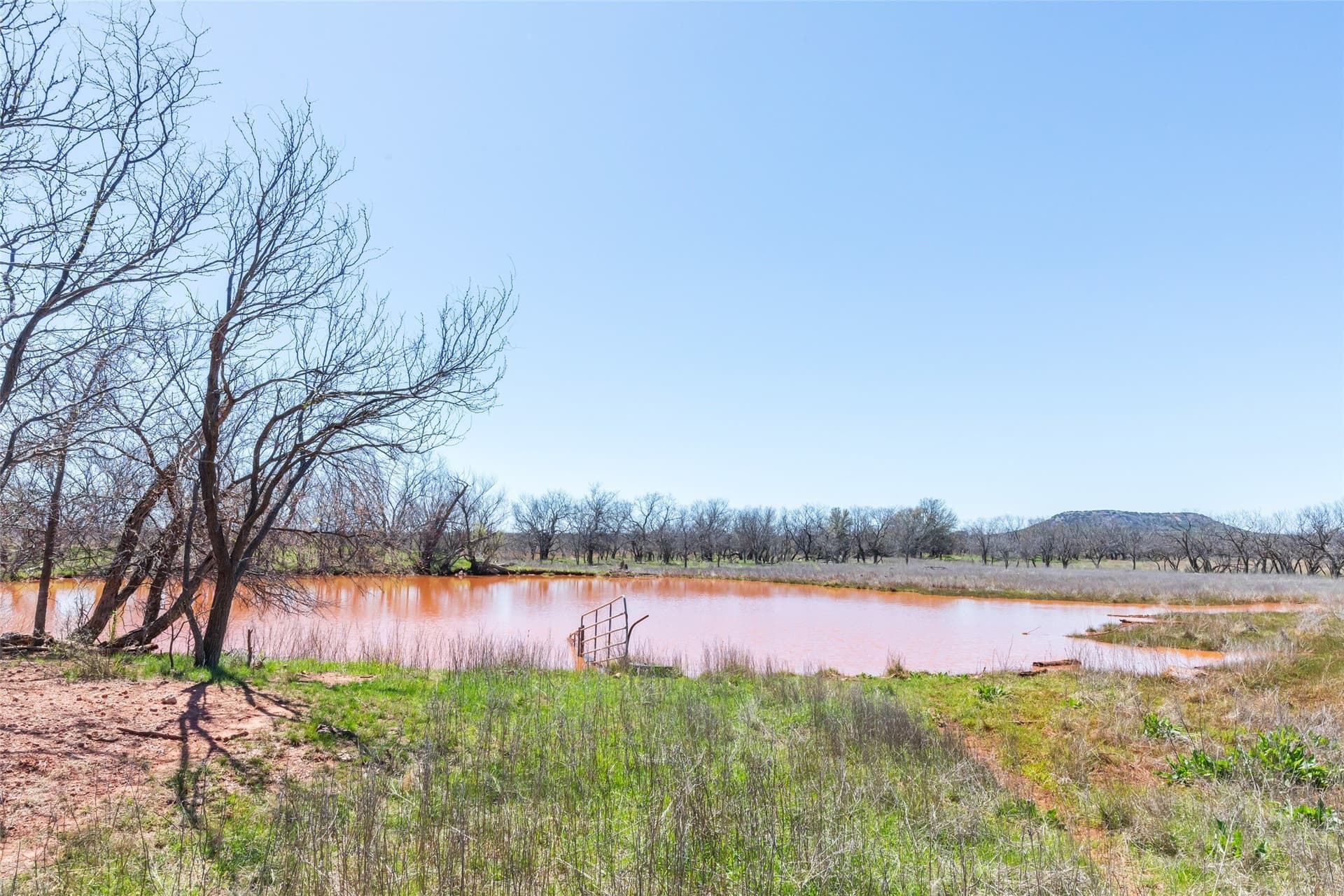84.5 acres in Taylor County gallery image 4