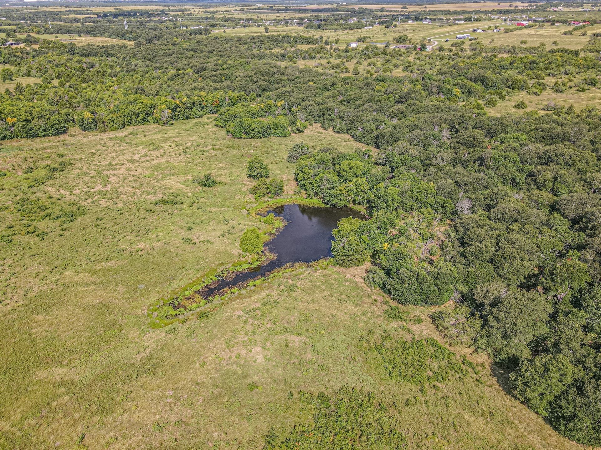 20 acres in Kaufman County - photo 9