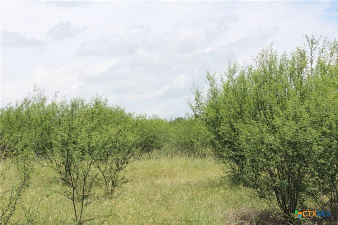 15 acres in Guadalupe County - photo 10