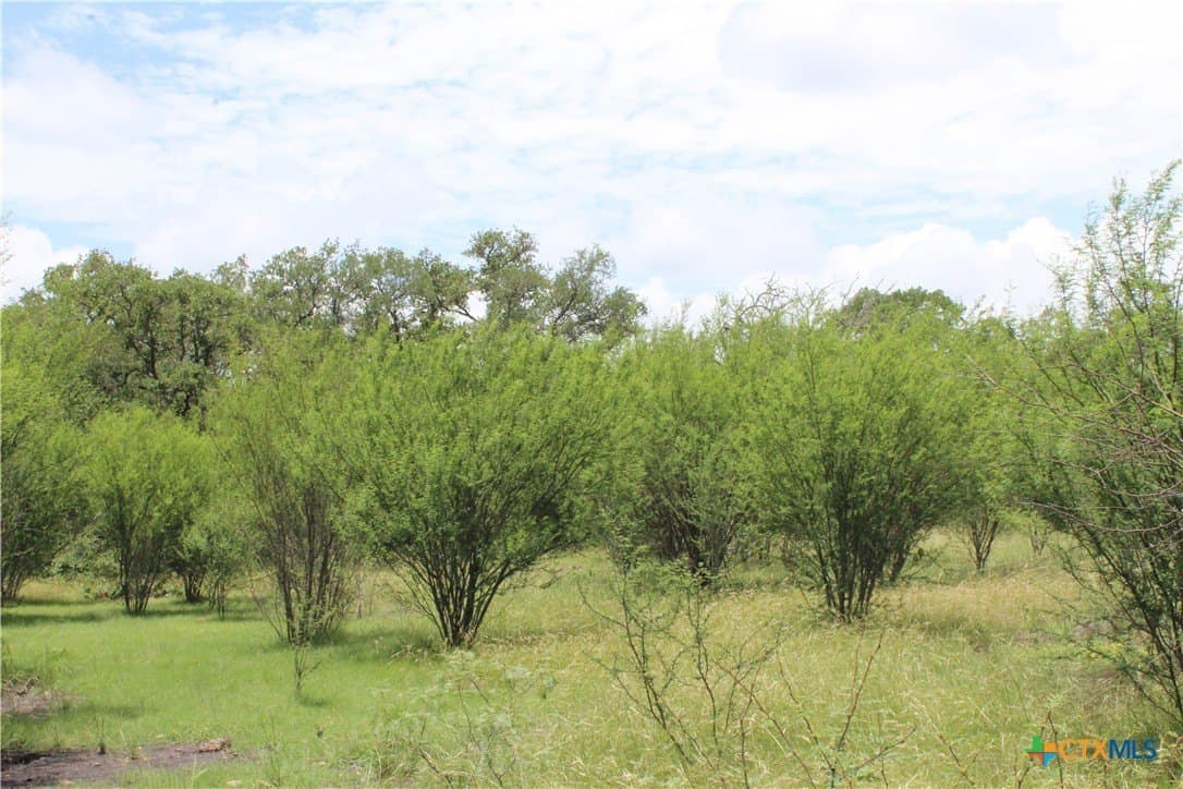 15 acres in Guadalupe County - photo 12
