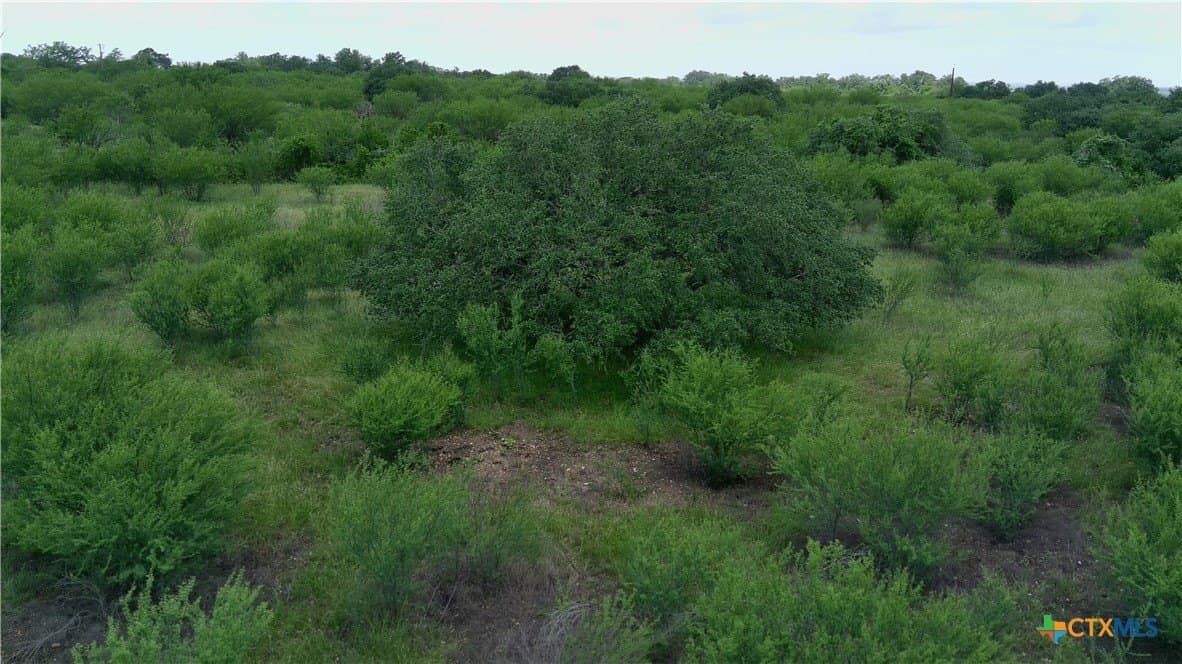 15 acres in Guadalupe County - photo 14