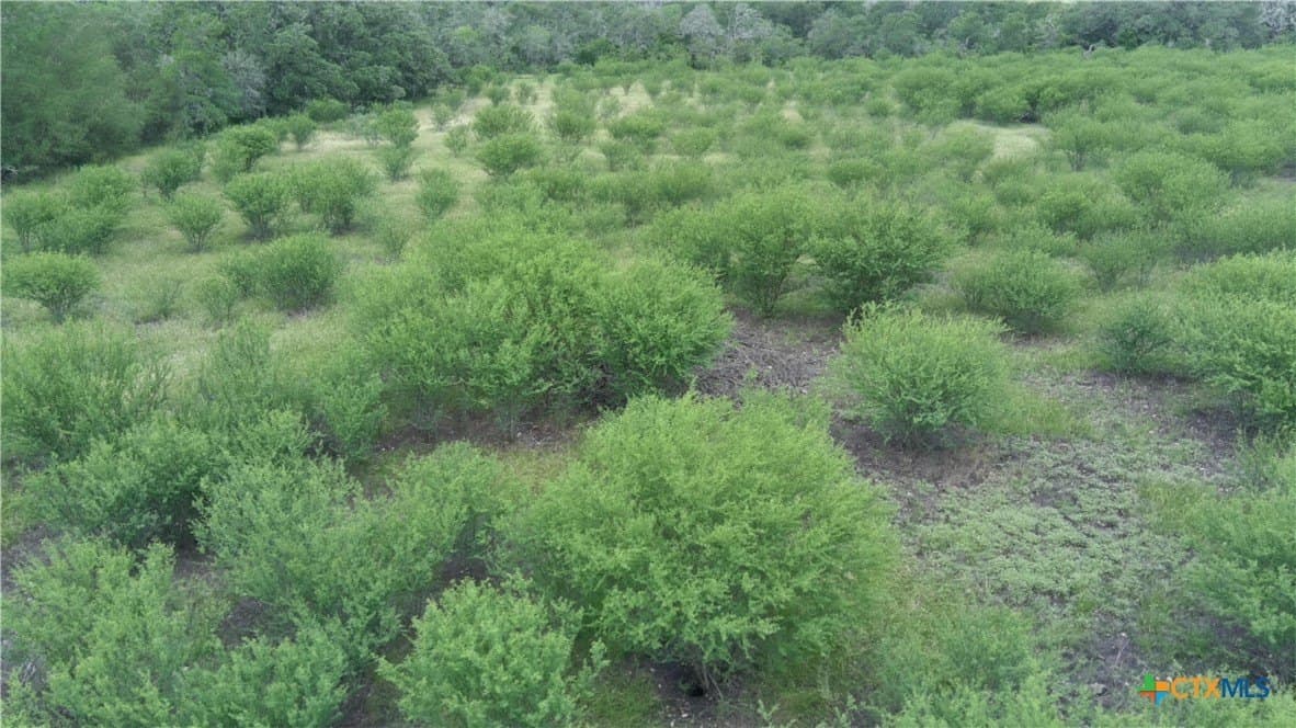 15 acres in Guadalupe County - photo 7