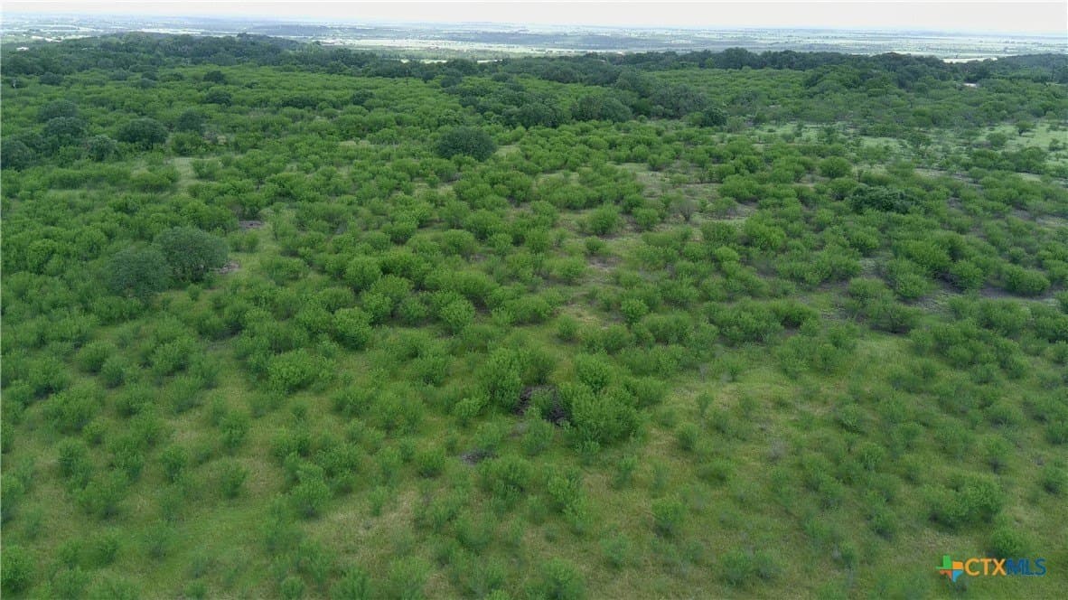 15 acres in Guadalupe County - photo 13