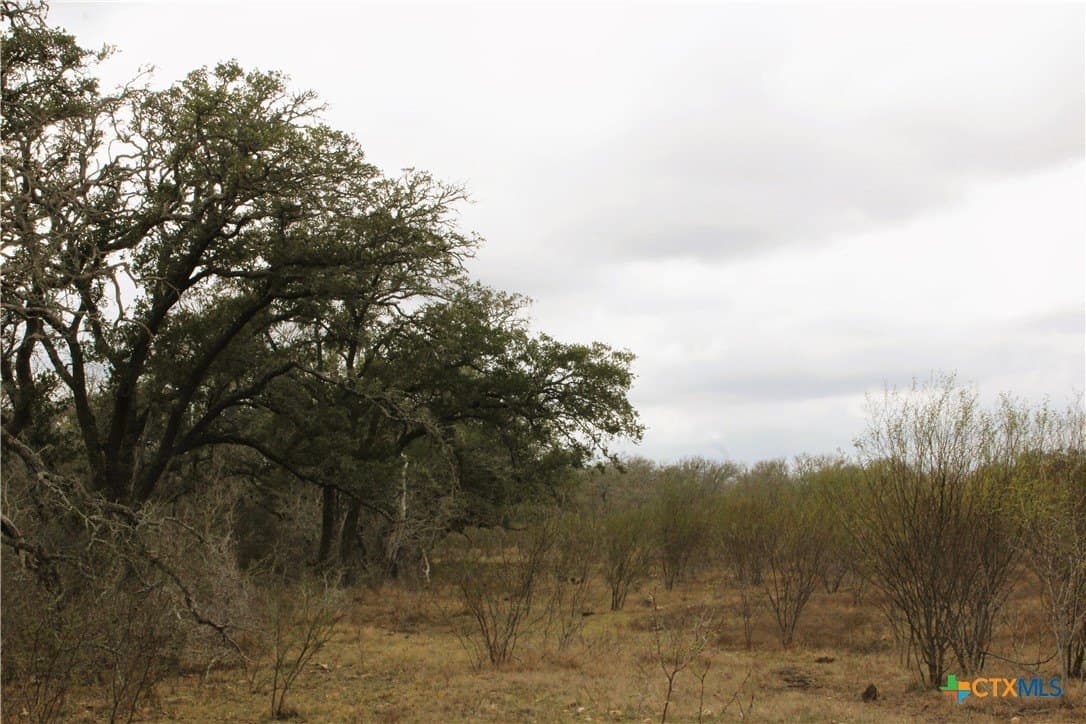 15 acres in Guadalupe County