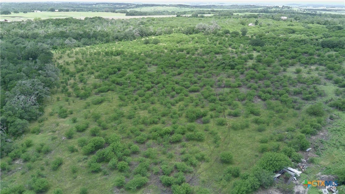 15 acres in Guadalupe County gallery image 2