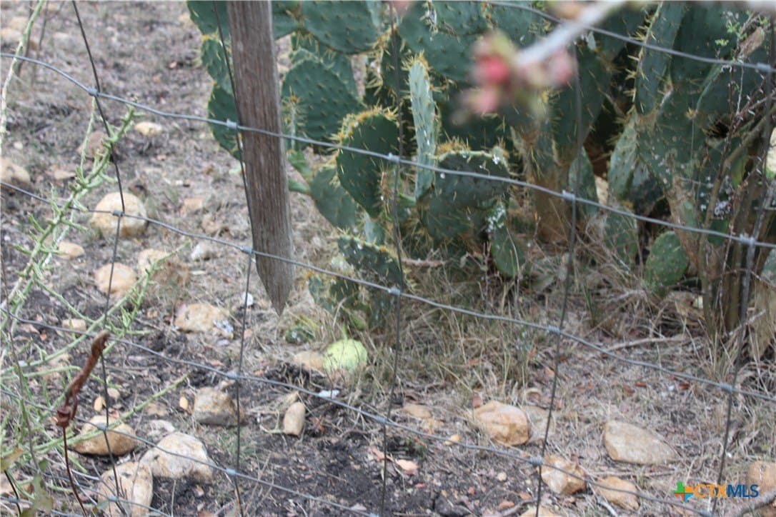 15 acres in Guadalupe County gallery image 4