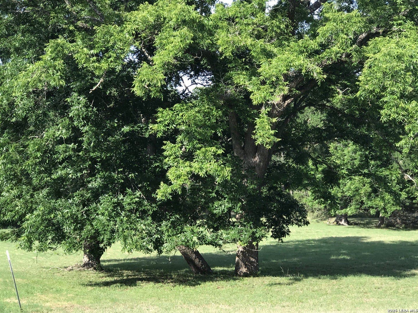 1.09 acres in Bexar County gallery image 3