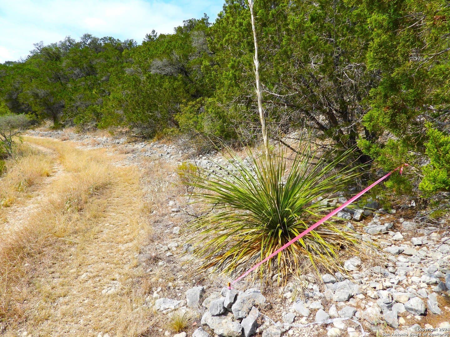 1 acres in Bandera County - photo 14