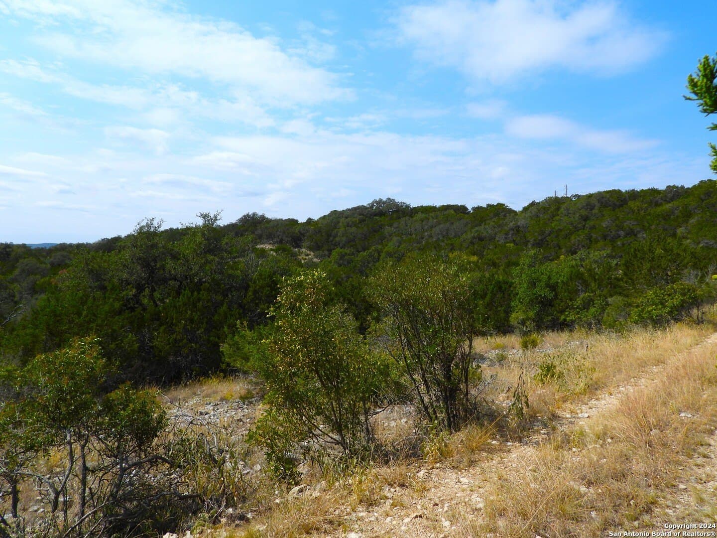 1 acres in Bandera County - photo 9