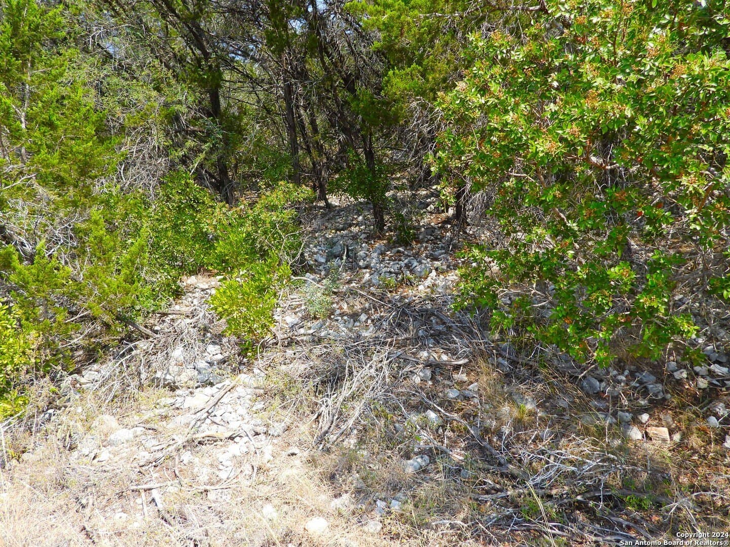 1 acres in Bandera County - photo 7