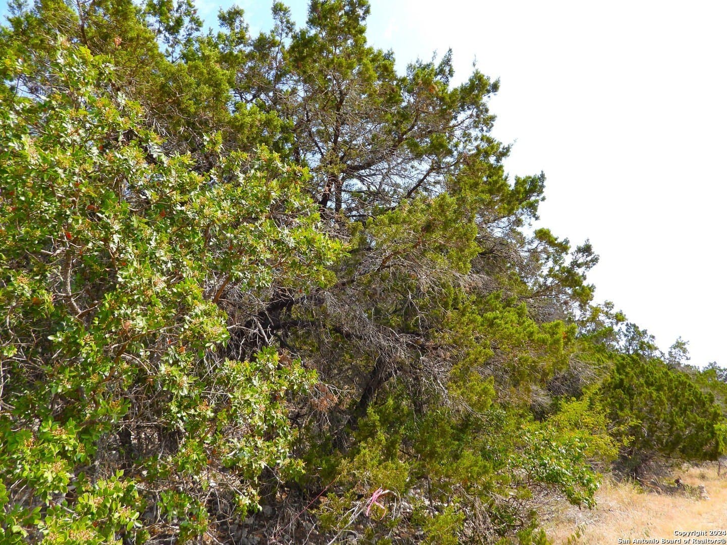 1 acres in Bandera County featured view