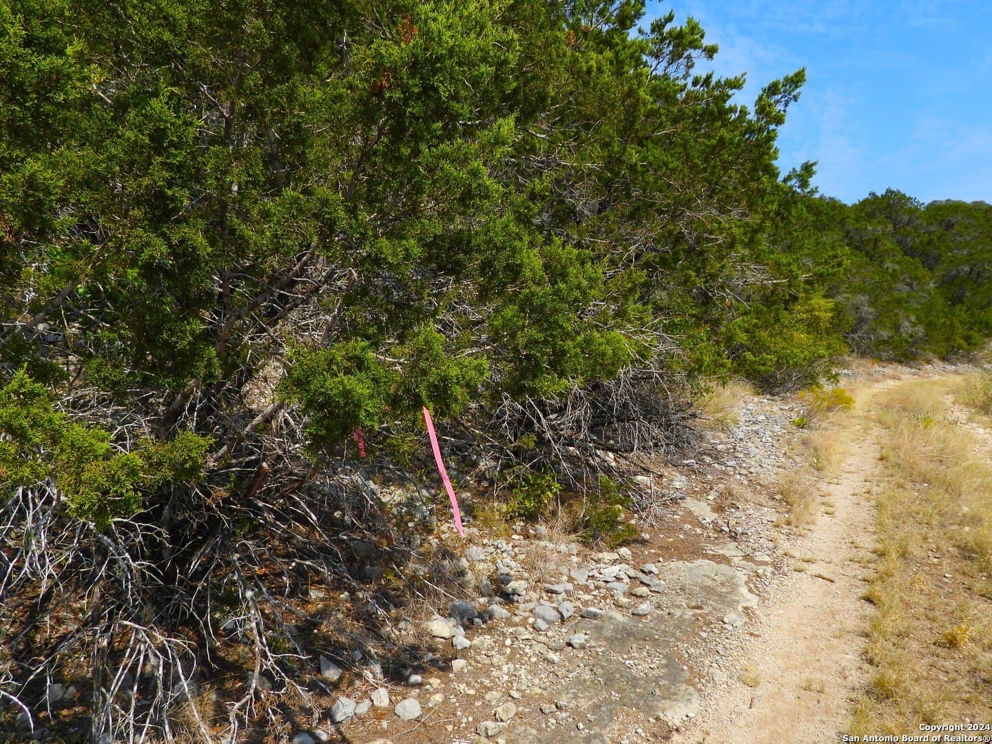 1 acres in Bandera County - photo 17