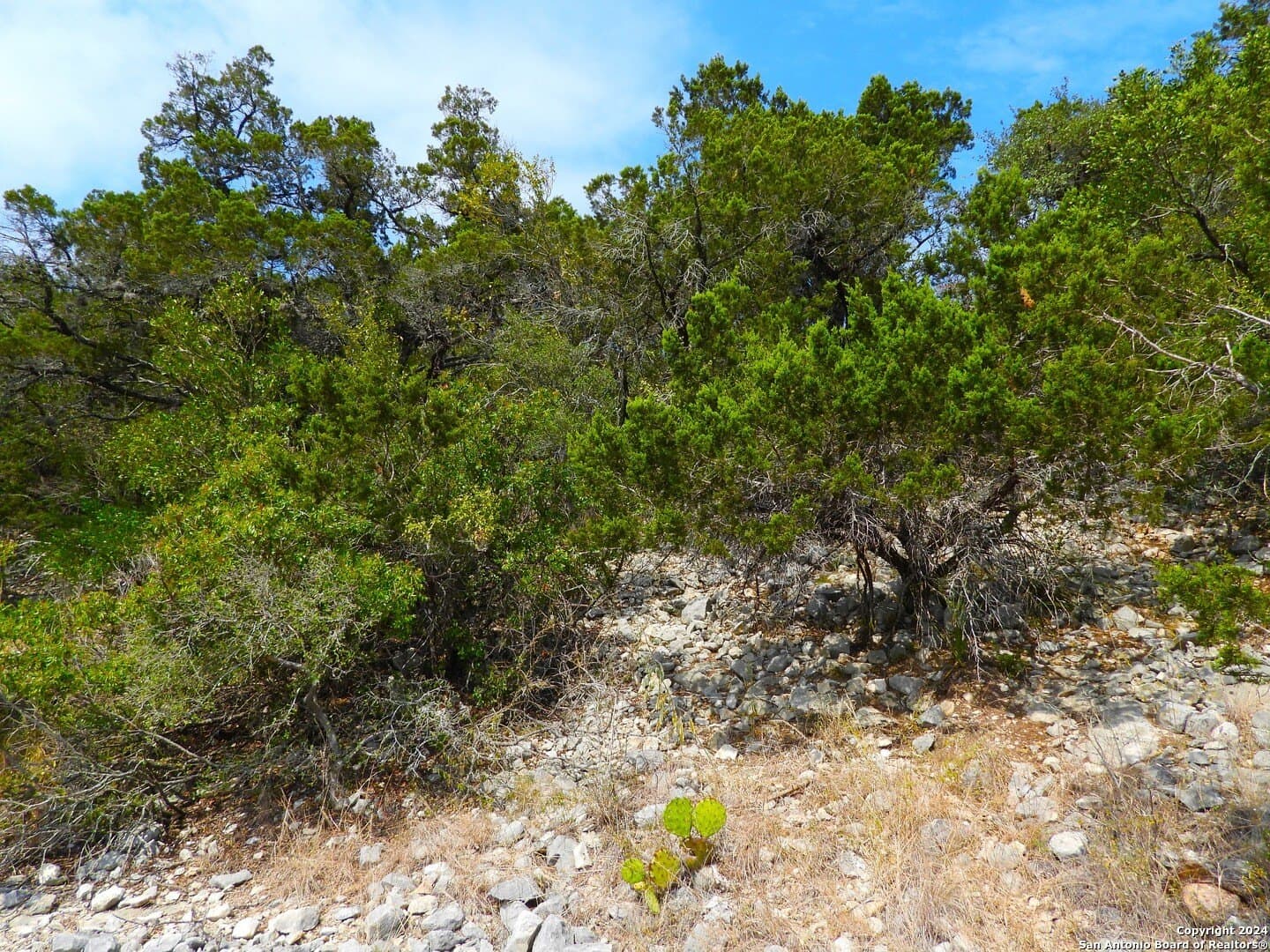 1 acres in Bandera County - photo 15