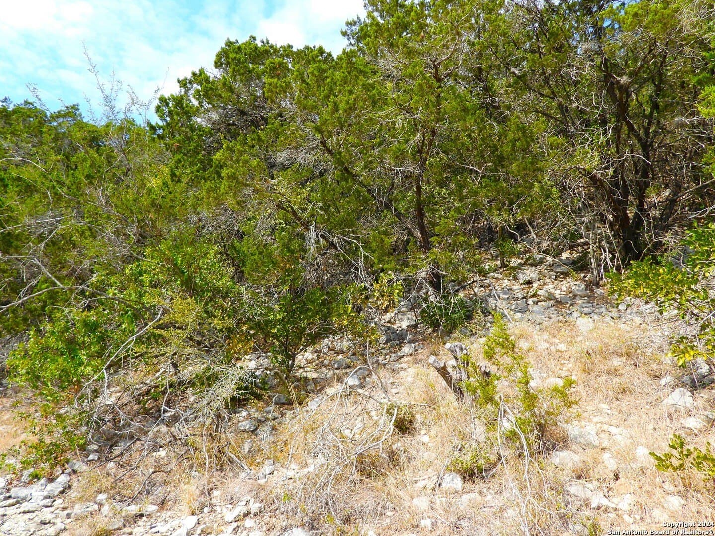 1 acres in Bandera County - photo 16