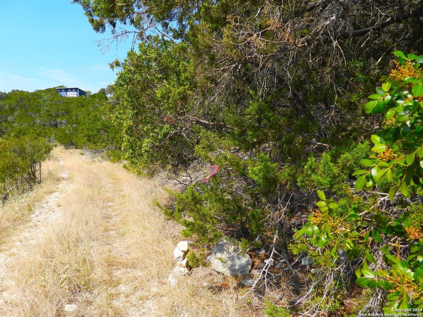 1 acres in Bandera County - photo 8