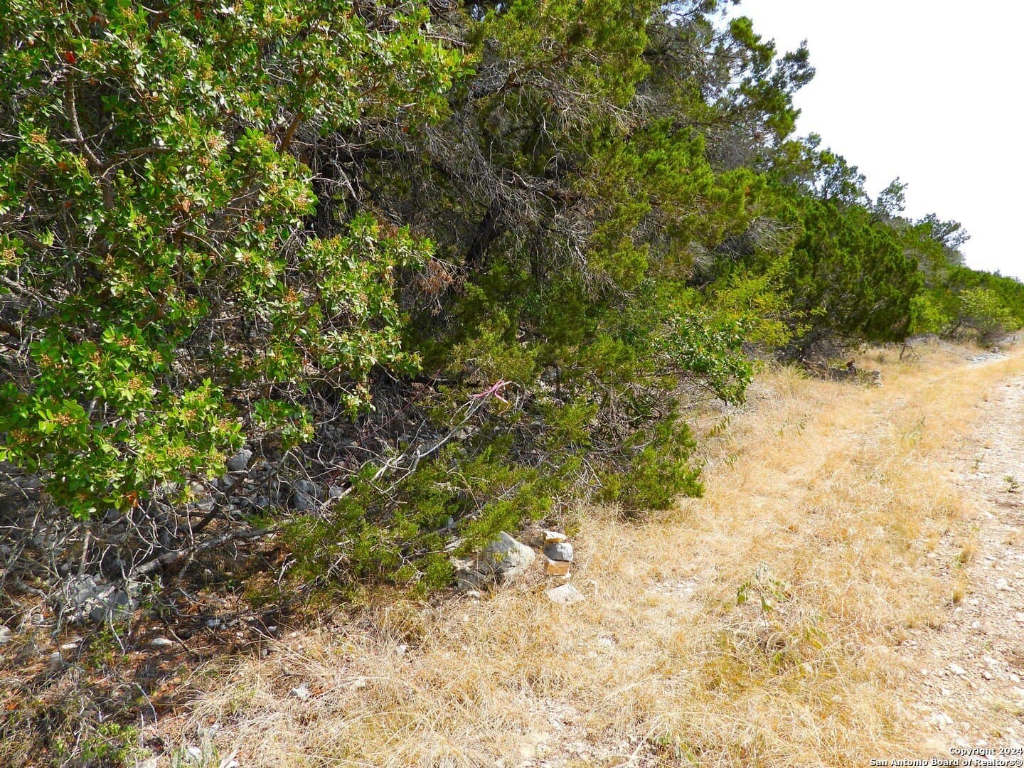 1 acres in Bandera County - photo 6