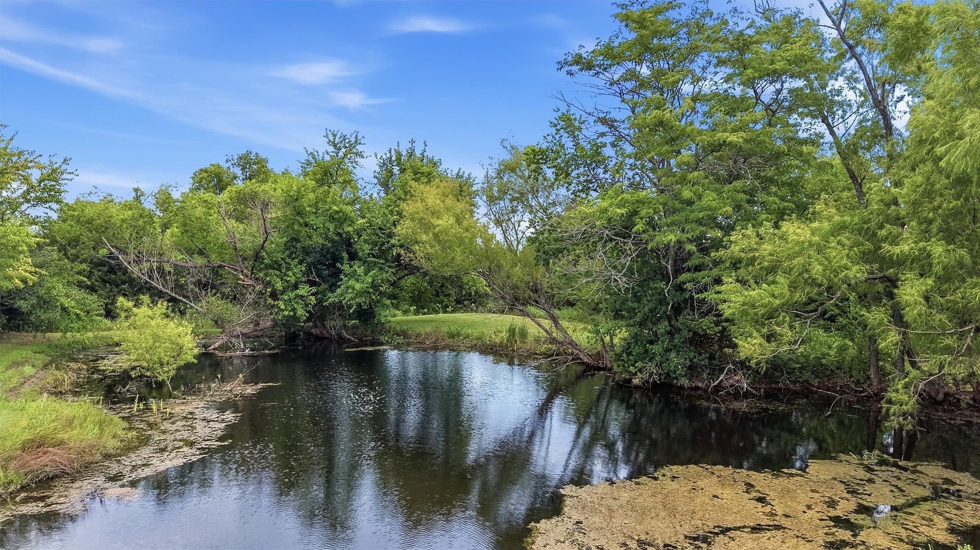 14.55 acres in Fannin County - photo 9