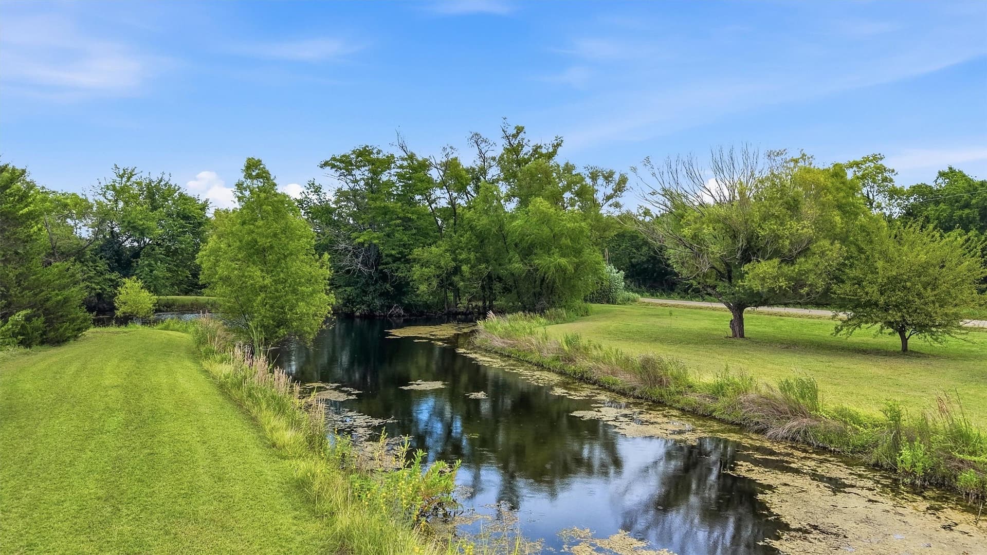 14.55 acres in Fannin County - photo 8