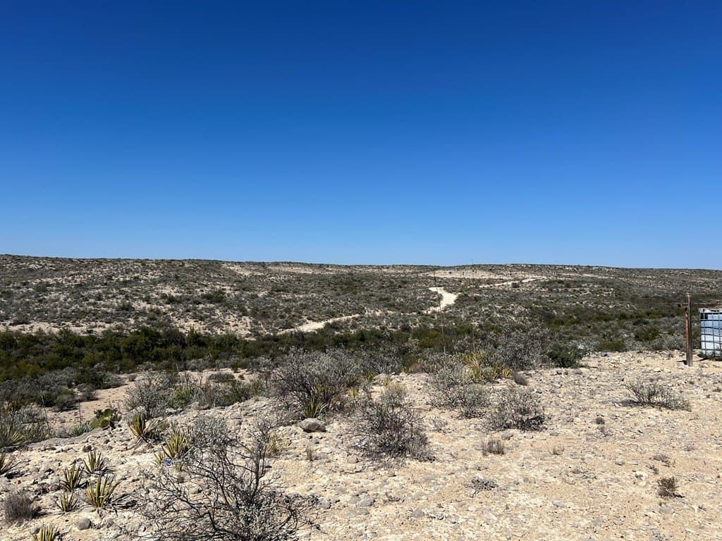 250 acres in Terrell County gallery image 2