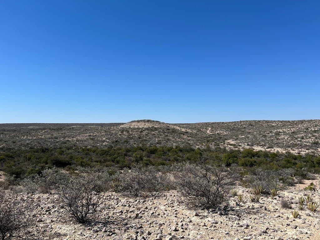 250 acres in Terrell County gallery image 4