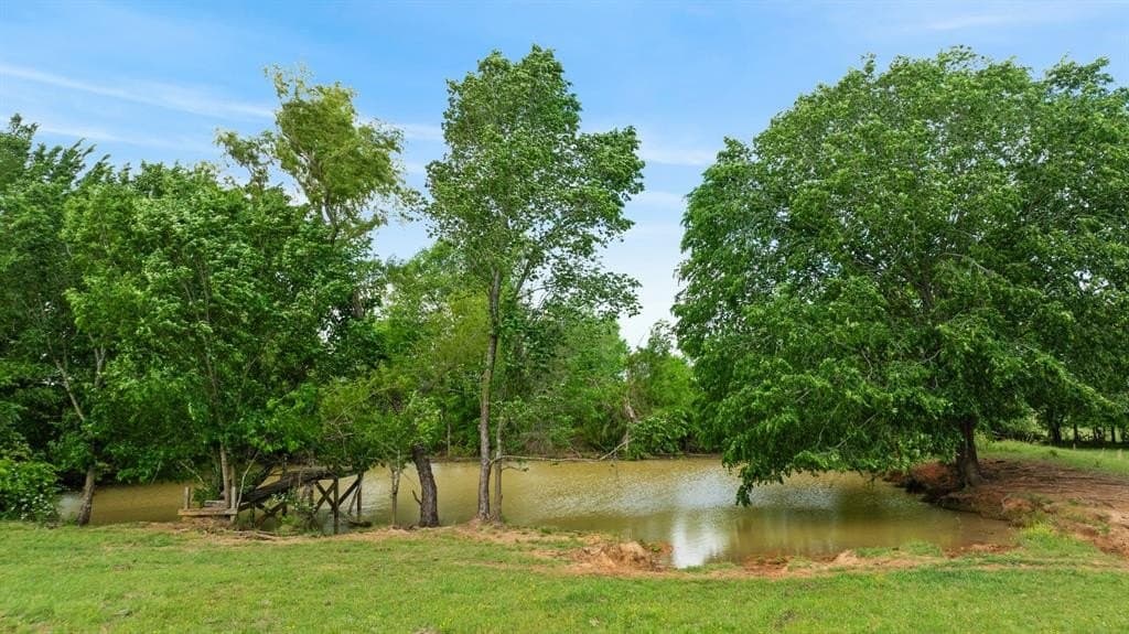50.65 acres in Red River (TX) County gallery image 3