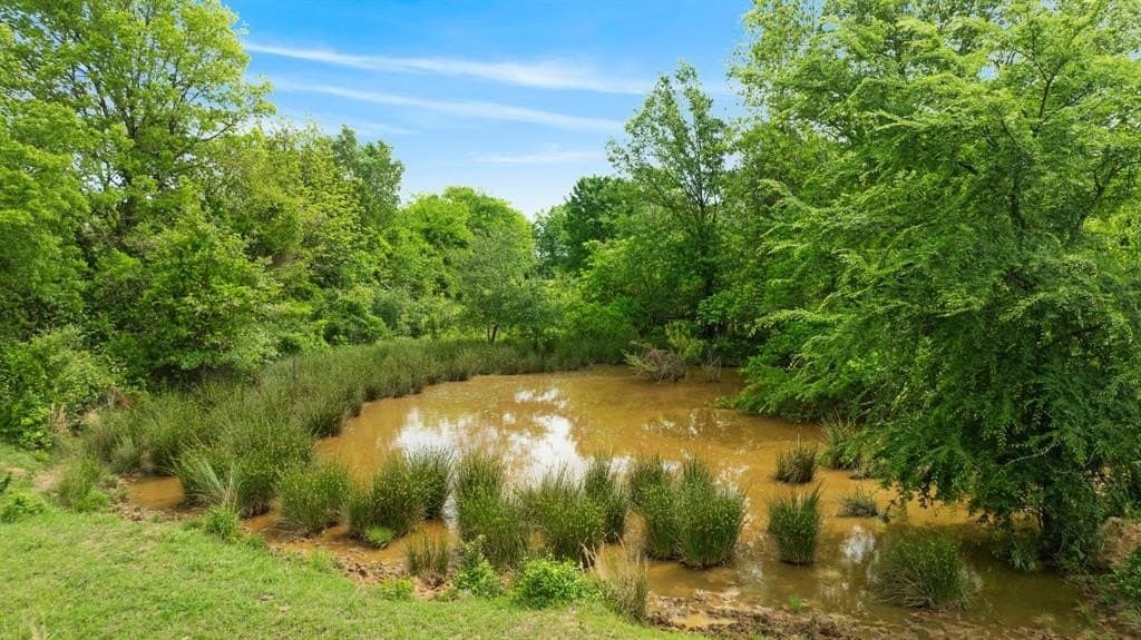 50.65 acres in Red River (TX) County gallery image 4