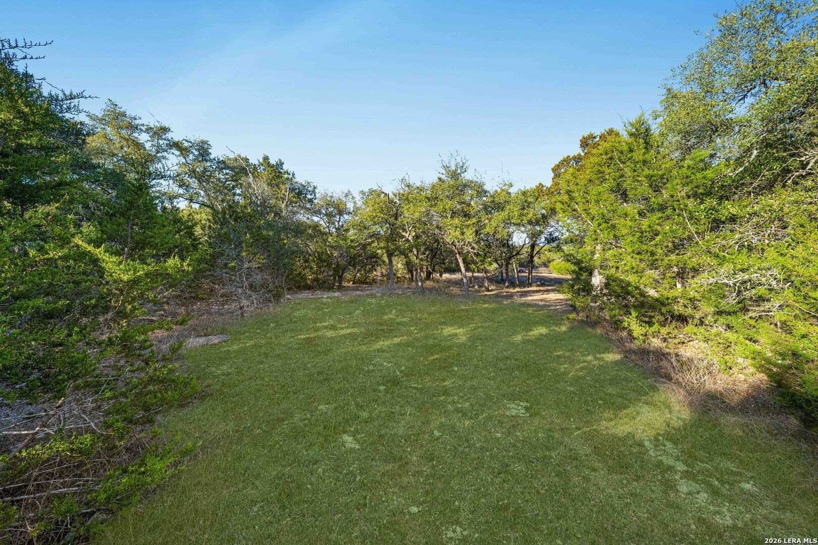 6.07 acres in Blanco County gallery image 2